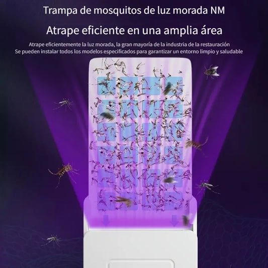 UV Guard | Atrapa Moscos UV con Tarjetas Adhesivas